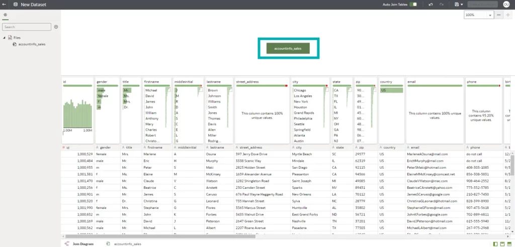 New dataset interface. accountinfo_sales is highlighted