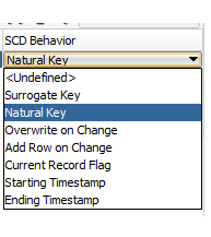 Configure SCD attributes (in Data Model)