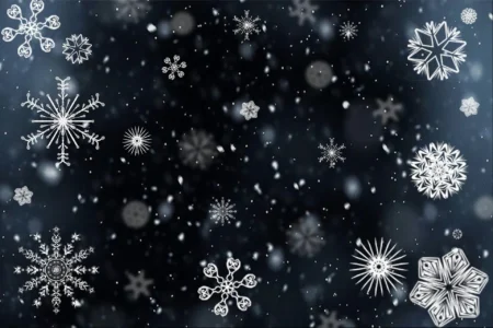snowflakes in front of black background