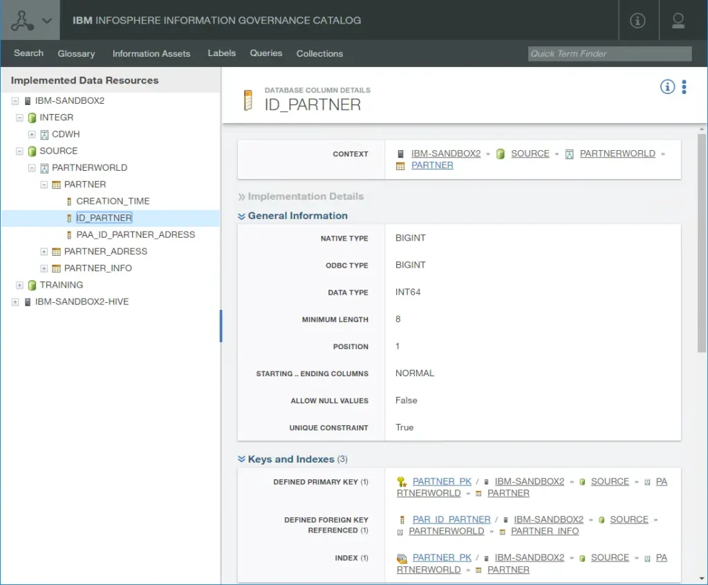 Der IBM InfoSphere Information Governance Catalog synvert